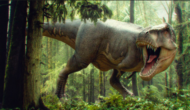 Cretaceous Period : 99 to 65 millions years ago.