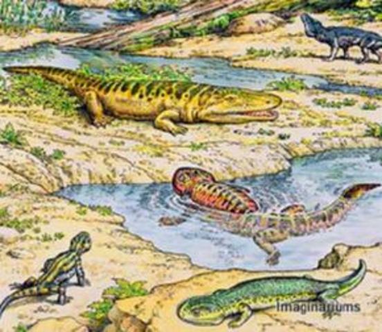 Primeros animales terrestes