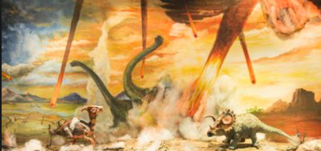 Paleocene : 55 millions years ago