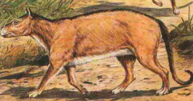 Eocene : 34 millions years ago