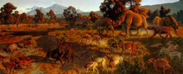 Oligocene : 23 millions years ago