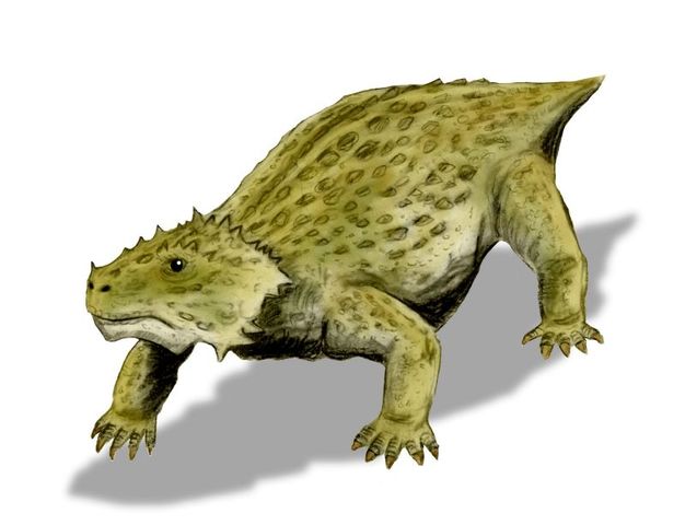 Primeros animales mamíferos