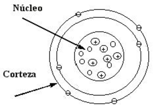 Núcleo y corteza