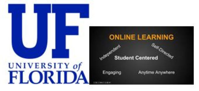 The First Public Online-Only University