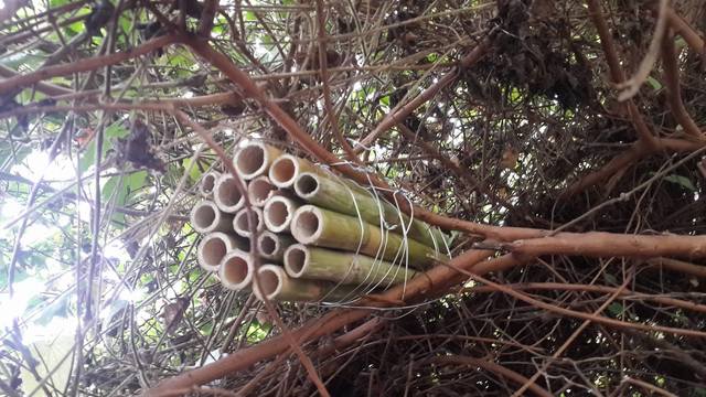 monitoreo de los hoteles del puente del vado