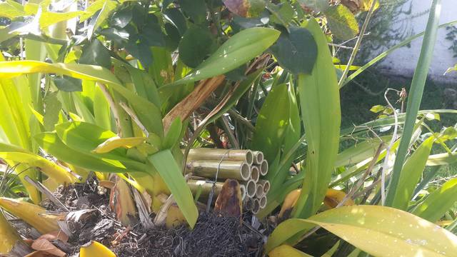 Monitoreo del hotel hubicado en indurama