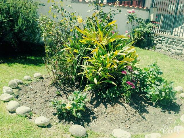 Monitoreo del hotel el dia 24 de Noviembre del 2016