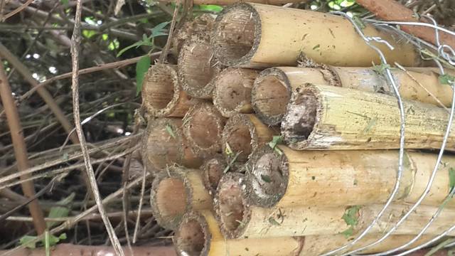 Monitoreo del hotel el día 24 de Noviembre del 2016