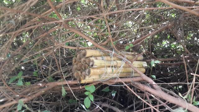 monitoreo del hote el dia 16 de Noviembre del 2016