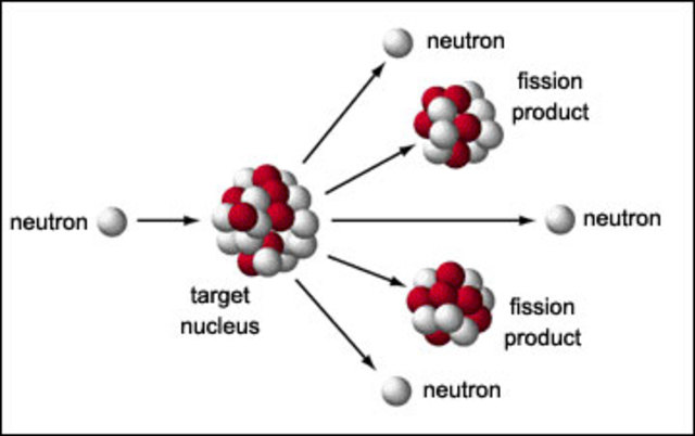 Discovery of Nuclear Fission