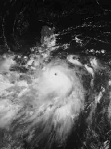 Typhoon Frank (Fengshen)