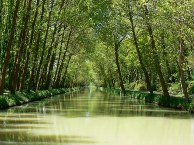 Canal de Castilla