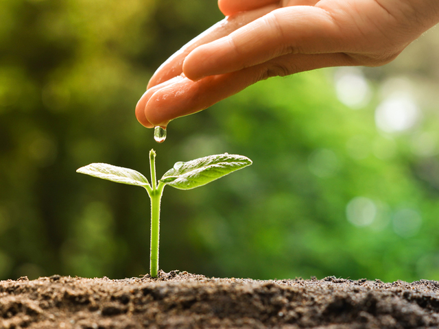 Carta Mundial de la Naturaleza