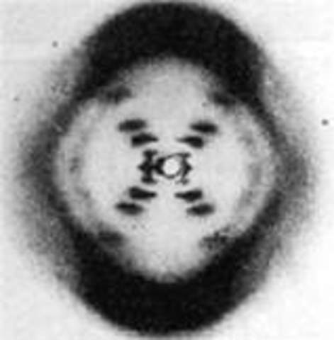 Rosalind Franklin