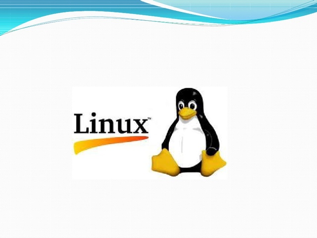 LINUX