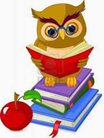 OTRAS FUNCIONES DEL ASESOR