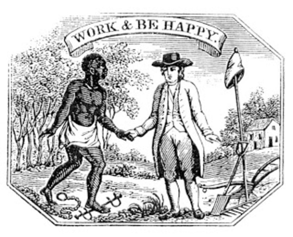 New Netherlands imported slaves