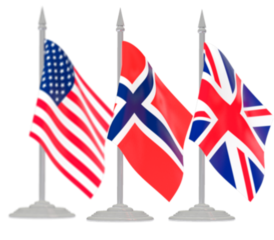 Международная сеть