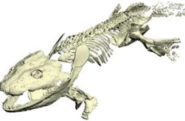 primeros vertebrados