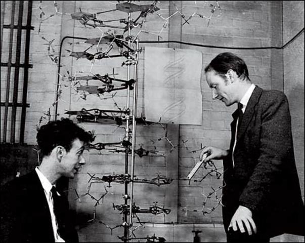 Watson and Crick