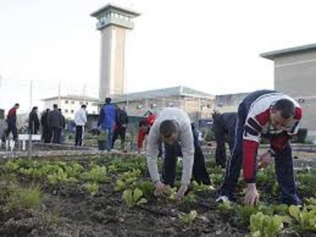 REFORMA CONSTITUCIONAL 2008.