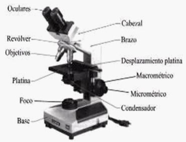 primer microscopi electronic