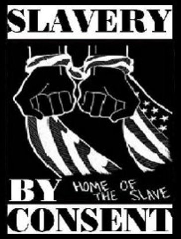 Slavery began in Virginia