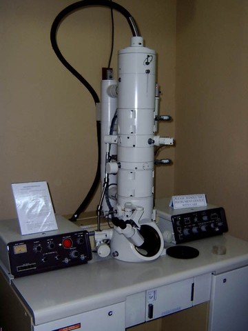 PRIMER MICROSCOPI ELECRTÒNIC