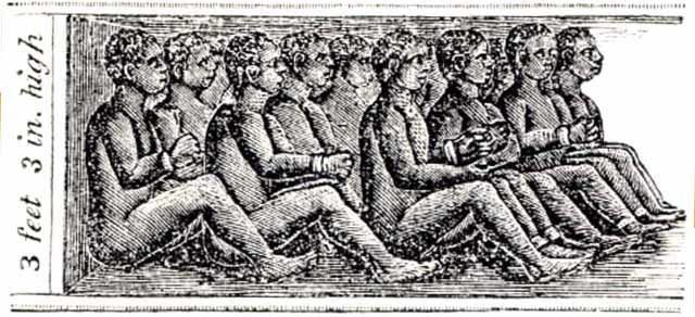 First Africans arrive at Jamestown