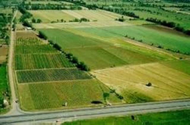 Sociedad Americana de Ingenieros Agrícolas