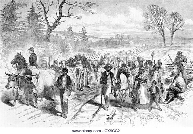 Importation of slaves was banned in Virginia