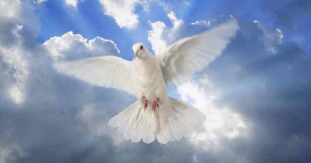 Enfermedad y muerte.