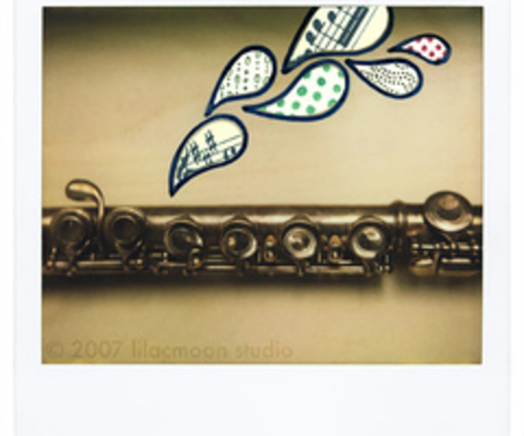 Started playing the flute .