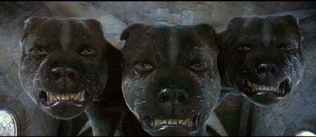 Harry discovers the there-headed dog