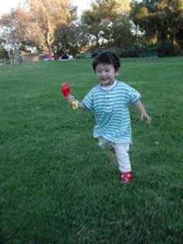 starts to find objects