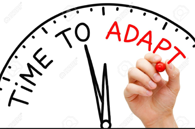 Teoría del Ciclo Vital del Liderazgo.