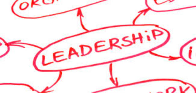 LEAD (Leader Effectiveness and Adaptability Description)