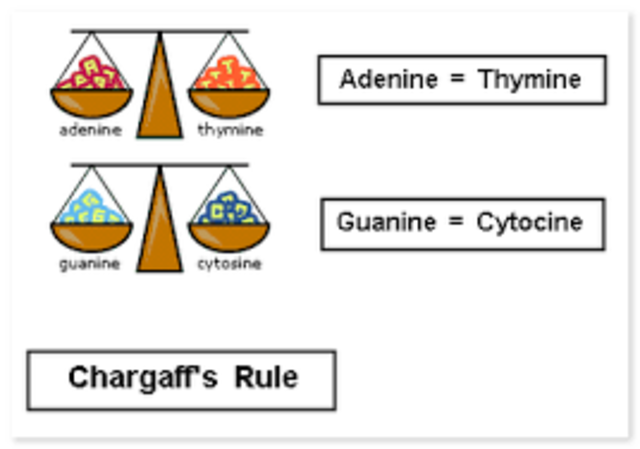 History Of Dna Timeline Timetoast Timelines