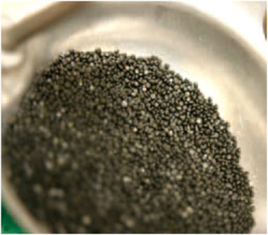 Chegada da pólvora en Europa