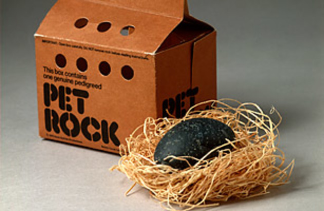 Pet Rock