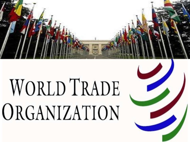 World Trade Organization (WTO)