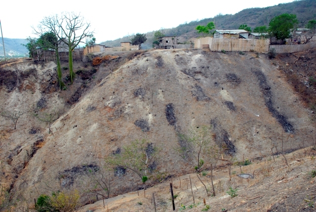 RESULTADO DE LA REFORMA AGRARIA