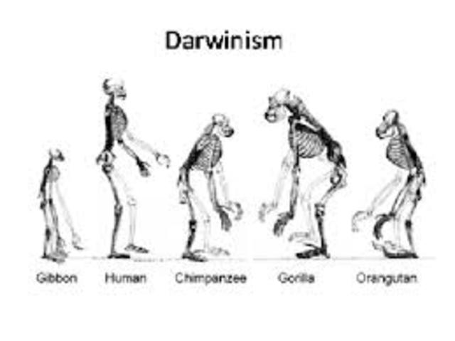 Social Darwinism