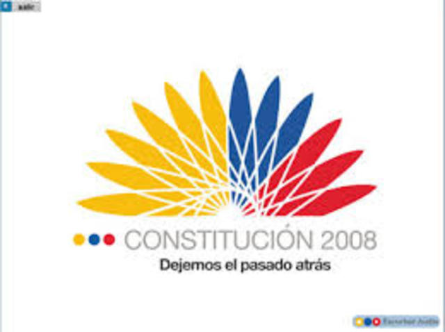 LA CONSTITUCIÓN DEL 2008