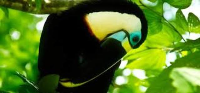 LIDER DE DERECHO AMBIENTAL