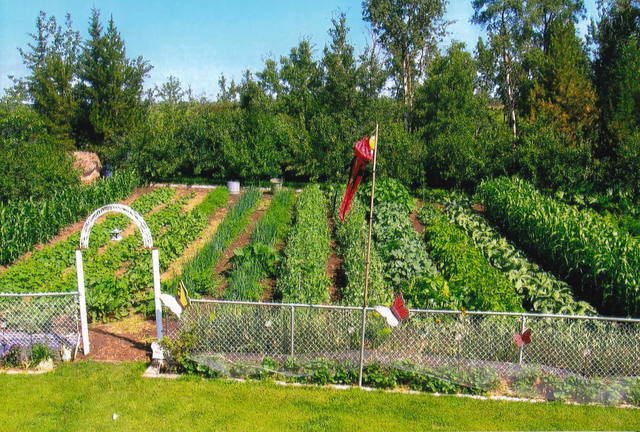 1896 - 1910 Metis settled farms at St Paul. This letbthem support familys and creat a good life.