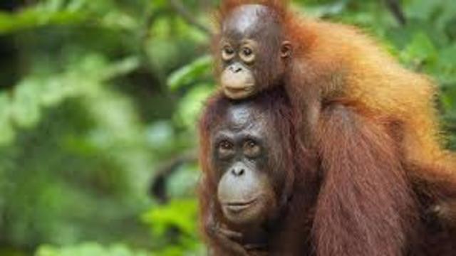 After Cretaceous Period