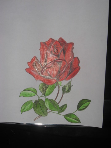 Our First Valentine's Day