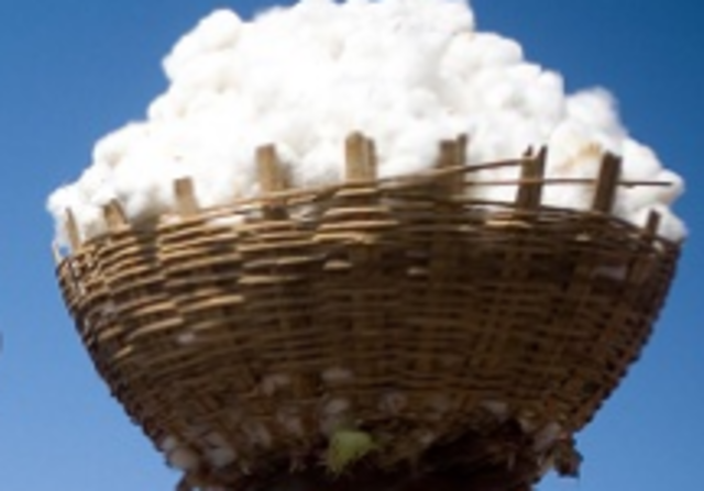 Sundiata Introduced Cotton