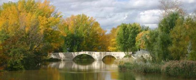 El nacimiento de Castilla